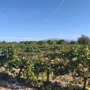  Hébergement de vacances Dans Les Pins Avec Piscine France